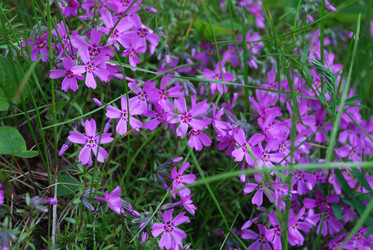 Similar image 21943037