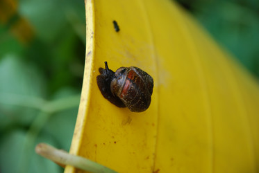 Similar image 21943038