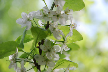 Similar image 21943039