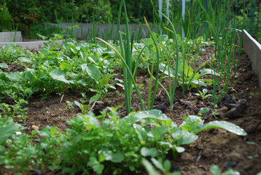 Similar image 21943040