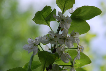 Similar image 21943041