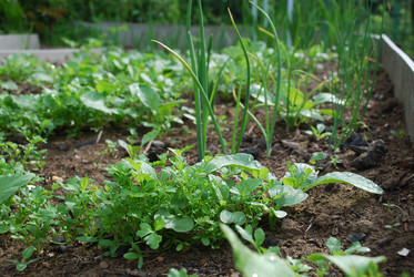 Similar image 21943042