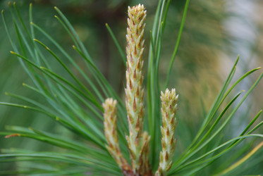 Similar image 21943043