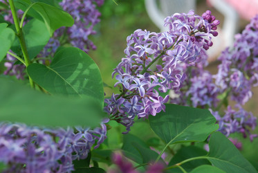 Similar image 21943044