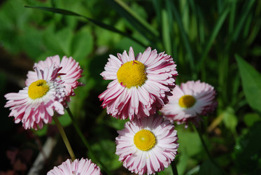 Similar image 21943049