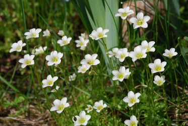 Similar image 21943050