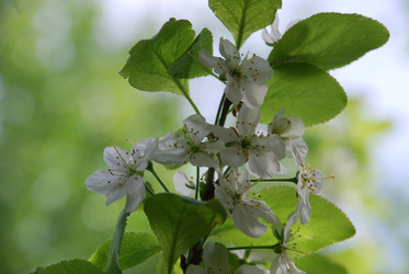 Similar image 21943052