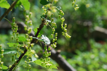 Similar image 21943054