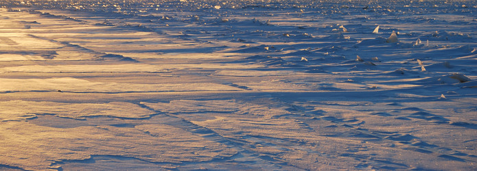 Similar image 21937554