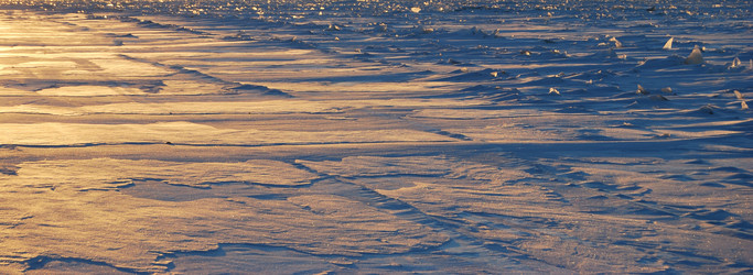 Similar image 21937555