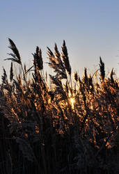 Similar image 21937565