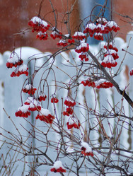 Similar image 21937567