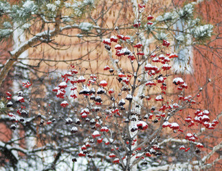 Similar image 21937568