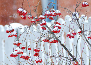 Similar image 21937569