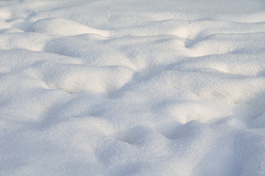 Similar image 21937581