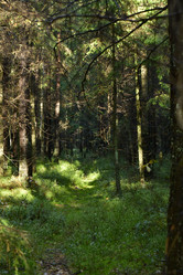 Similar image 21938212