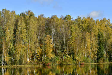 Similar image 21938214