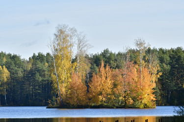 Similar image 21938216