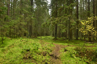 Similar image 21938217