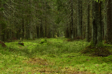 Similar image 21938224