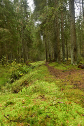 Similar image 21938226