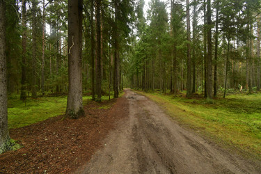 Similar image 21938232