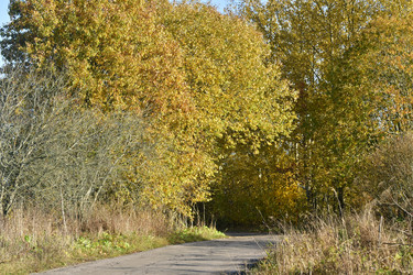 Similar image 21938234