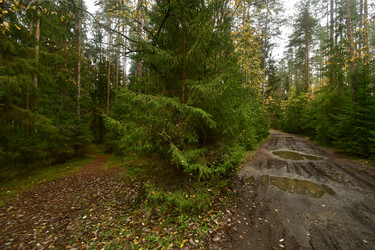 Similar image 21938235