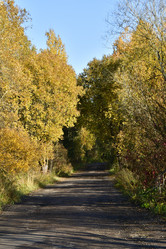 Similar image 21938237