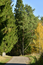 Similar image 21938419