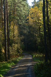 Similar image 21938421