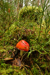 Similar image 21938425