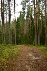 Similar image 21938428