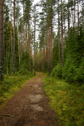 Similar image 21938431