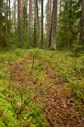 Similar image 21938434