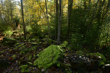 Similar image 21938435