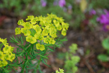 Similar image 21942938