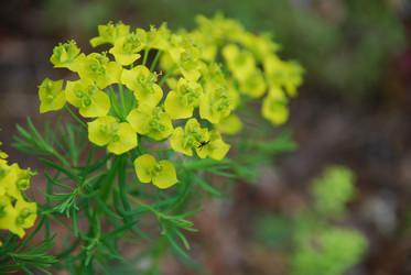 Similar image 21942939