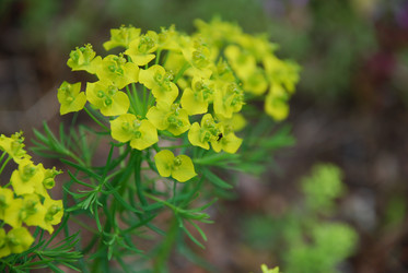 Similar image 21942940