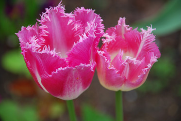 Similar image 21942941