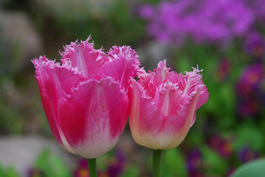 Similar image 21942942