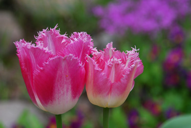 Similar image 21942943