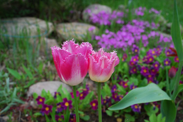 Similar image 21942944