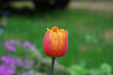 Similar image 21942945