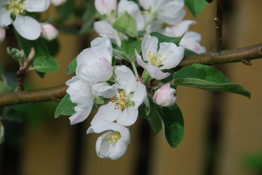 Similar image 21942946