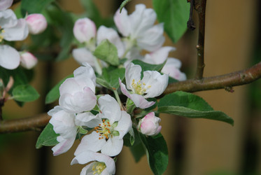 Similar image 21942947