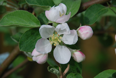 Similar image 21942948