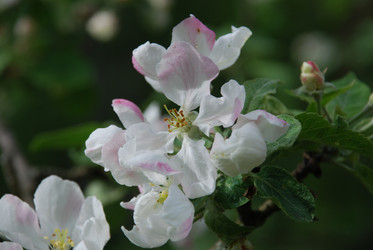 Similar image 21942949