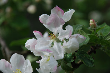 Similar image 21942950