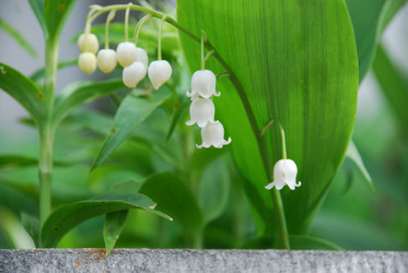 Similar image 21942951